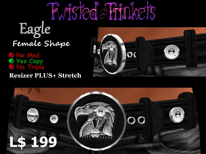 Belt Eagle (female)
