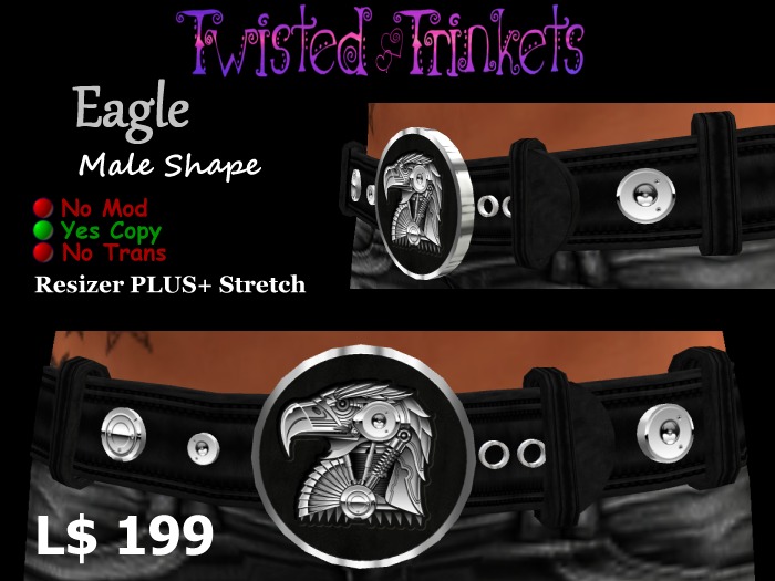 Belt Eagle (male)