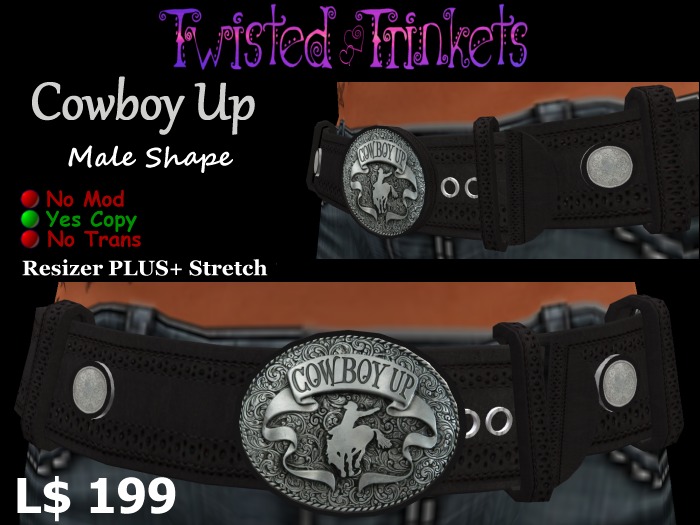 Cowboy Up Belt (male)