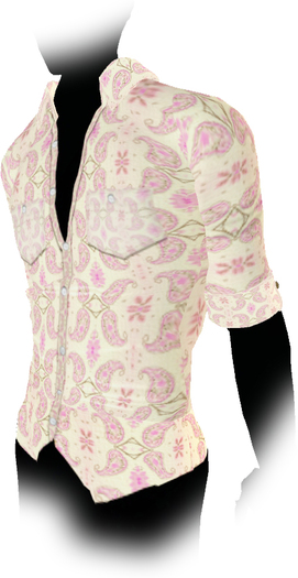 Ali Enchanting Paisley 9
