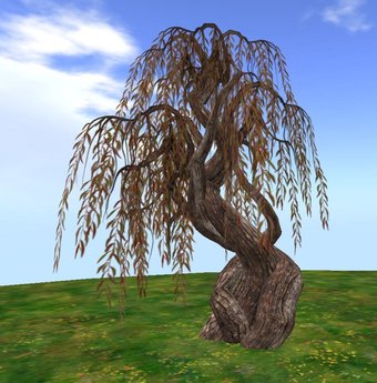 Second Life Marketplace - 8 Tree by Felix 4 colors 2 sizes