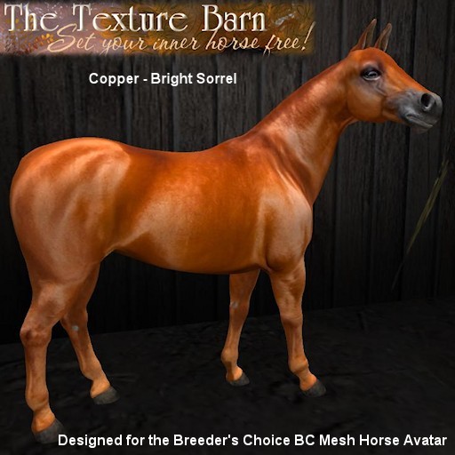 BC - Copper - Bright Sorrel Texture Pack  for the new Breeder's Choice Mesh Horse Avatar 