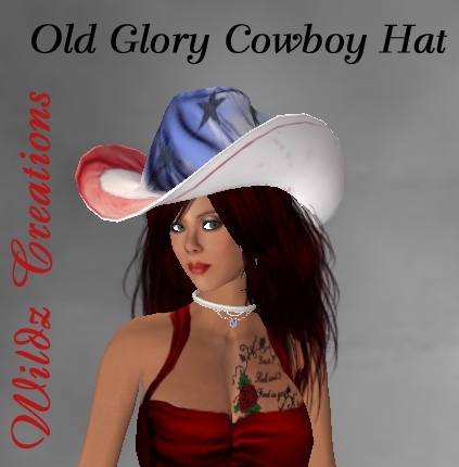 ~WC~ Old Glory Cowboy Hat