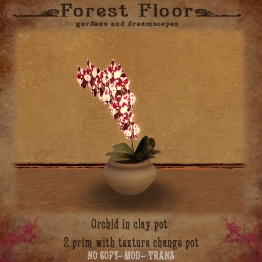 ~*Forest Floor*~ Ever Spring Fairy Orchid
