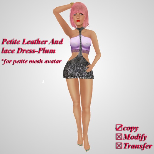*Angel Rae's*Leather And Lace Dress-Plum