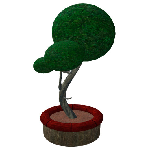 Japanese Garden Plant