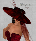 Terra d'ombrA ☼ SOPHIA feudejoie