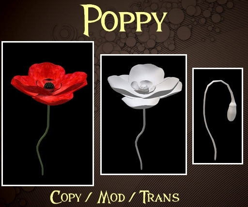 .o0O J.D poppy O0o.