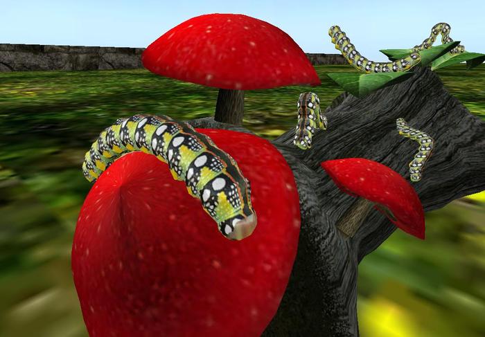 (TC)~Strunk,Butterflys,mushrooms,firefly