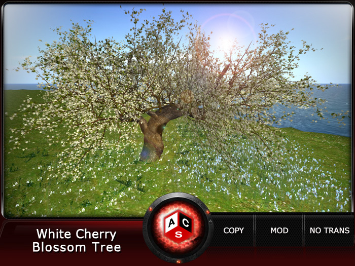 ACS White Cherry Blossom Tree