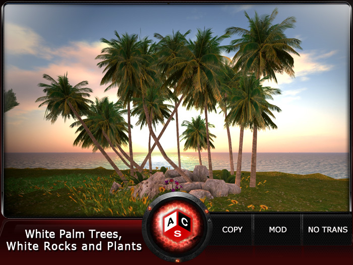 ACS White Palm Trees, White Rocks and Plants