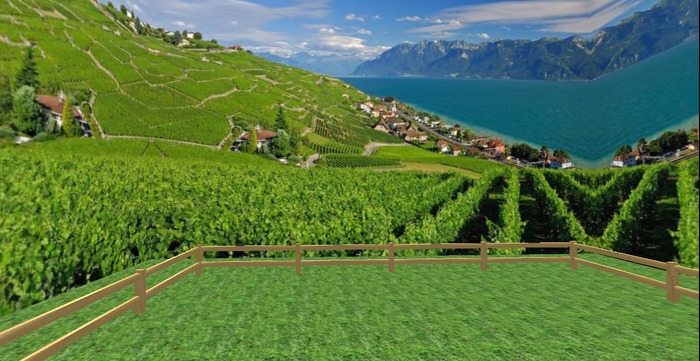 Beautiful Hillside Ranch (boxed)