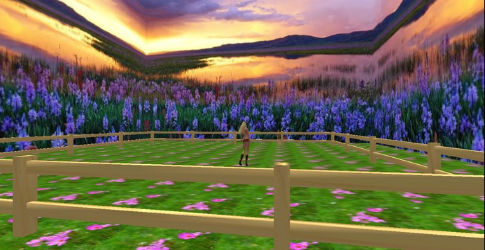 Lavender Sunset Ranch (boxed)