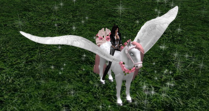 Angel Horse Harness - Boxed