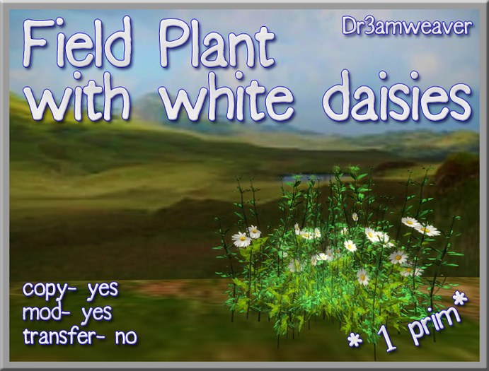 Dr3amweaver - Field Plant with daisies 