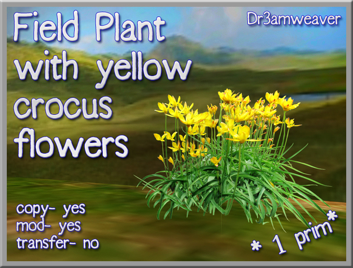 Dr3amweaver - Field Plant with yellow crocus flowers -