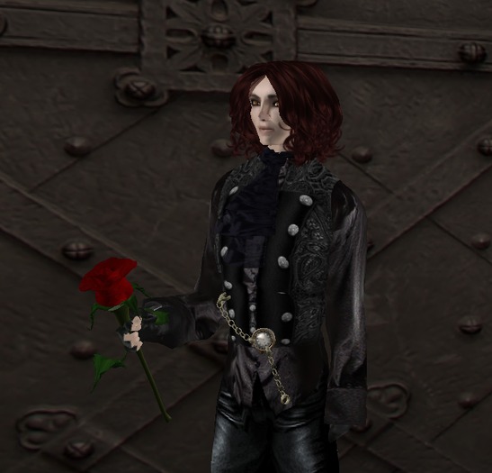 Scripted Long Stem Rose