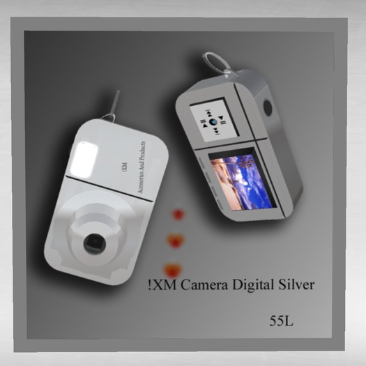 FULL PERM SILVER DIGITAL CAMERA - 10L