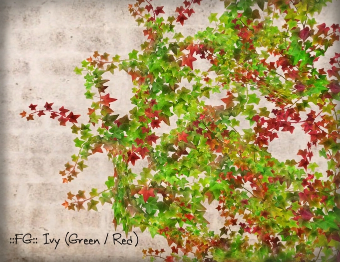 ::FG:: Ivy (Green / Red) copy
