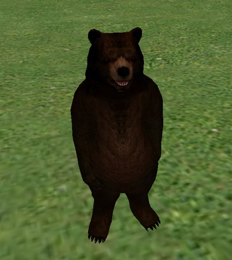 ARM - A Rigged Mesh - Grizzley Bear!