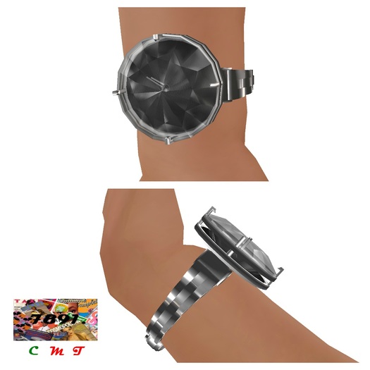 [7891.] - Brisk Watch - Silver (W\Resize)