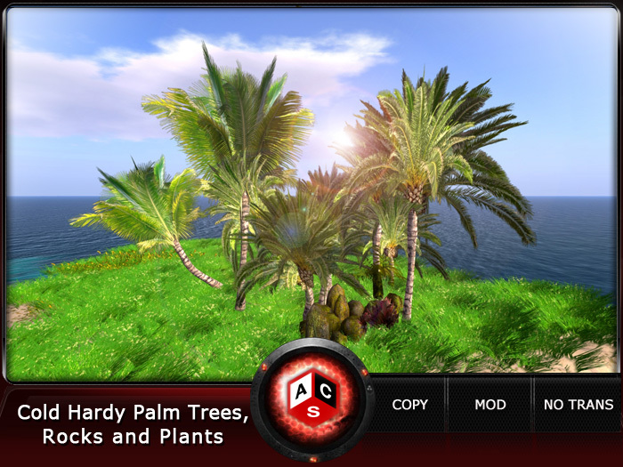 ACS Cold Hardy Palm Trees,Rocks and Plants
