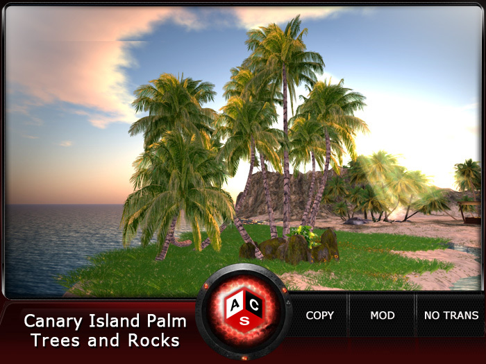 ACS Canary Island Palm Trees and Rocks