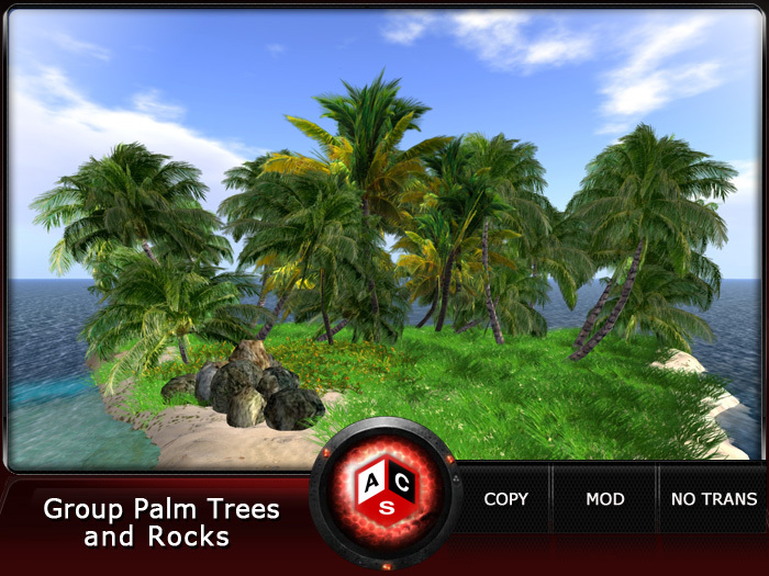 ACS Group Palm Trees and Rocks