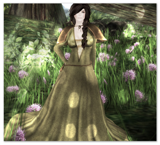[Look] Forest Elf DEMO box