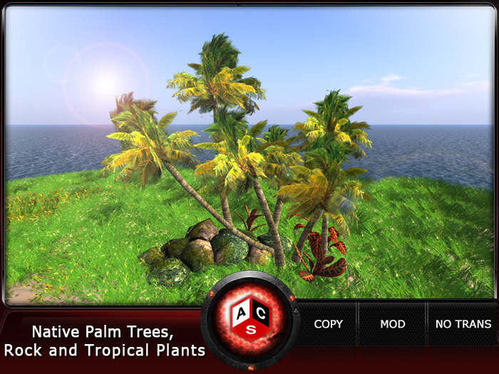 ACS Native Palm Trees,Rock and Tropical Plants