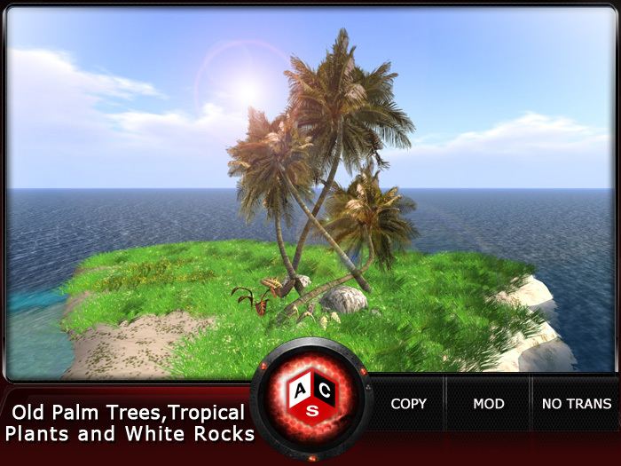 ACS Old Palm Trees,Tropical Plants and White Rocks