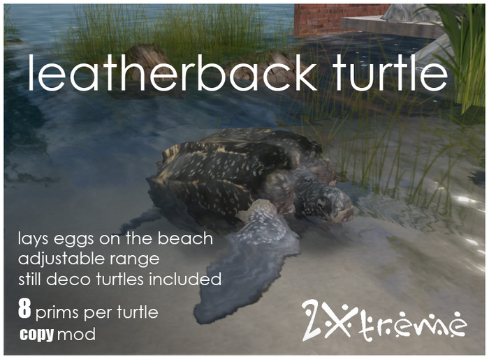 :: 2Xtreme :: Leatherback turtleset
