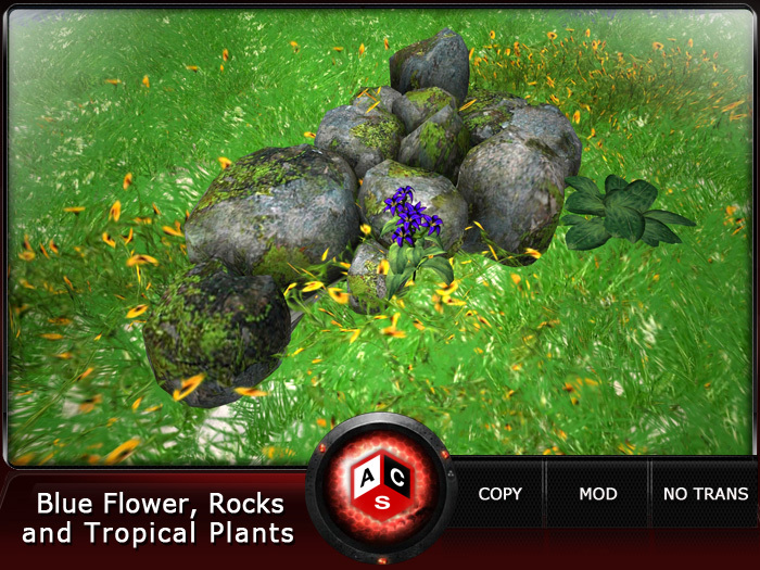 ACS Blue Flower, Rocks and Tropical Plants