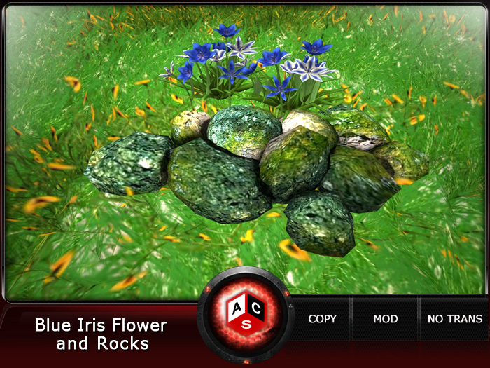 ACS Blue Iris Flower and Rocks