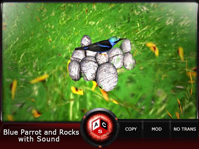 ACS Blue Parrot and Rocks with Sound