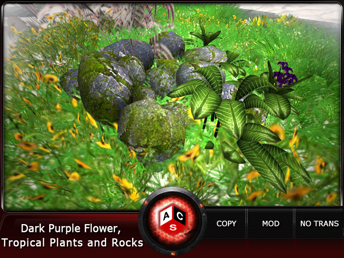ACS Dark Purple Flower, Tropical Plants and Rocks