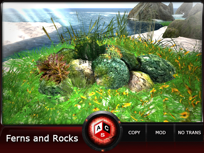 ACS Ferns and Rocks