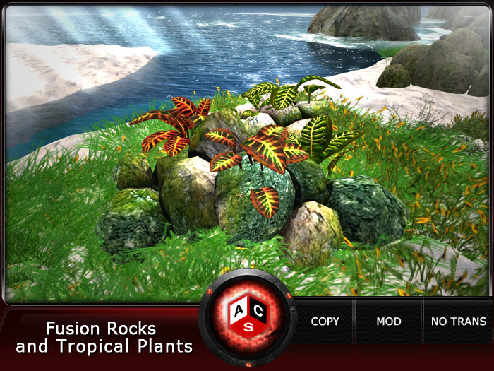 ACS Fusion Rocks and Tropical Plants