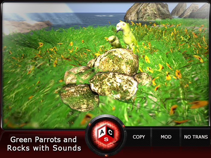 ACS Green Parrots and Rocks with Sounds