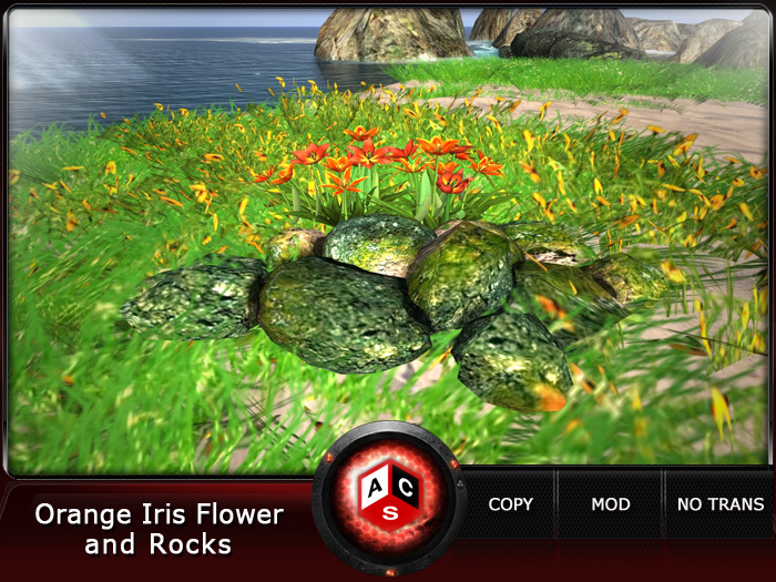 ACS Orange Iris Flower and Rocks