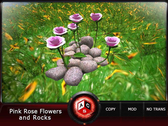 ACS Pink Rose Flowers and Rocks