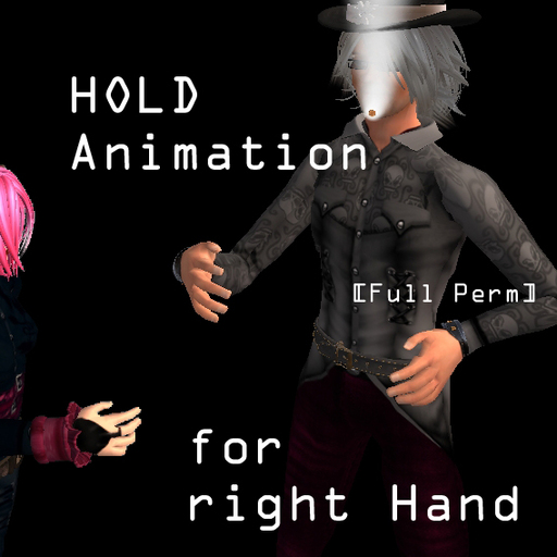 Holding Animation for right hand - FULL PERM