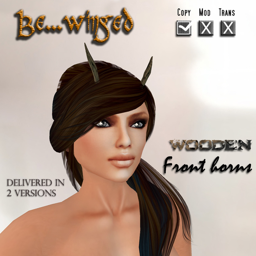 PROMO !! **BE...WINGED** Front Horns (wood)