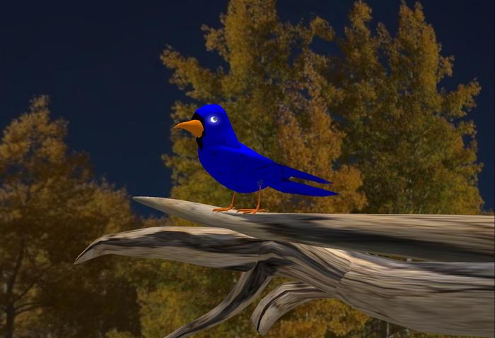 Blue Bird that Flies (not in a circle) and Lands (where you tell it to) BOGO Offer (SWW)