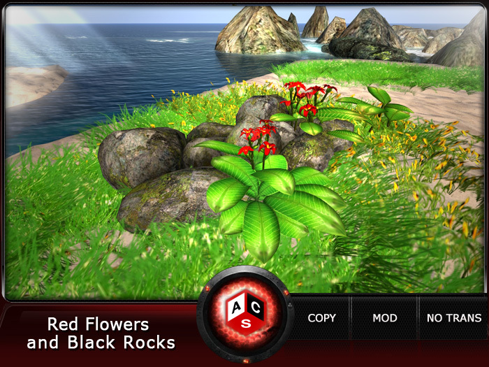 ACS Red Flowers and Black Rocks