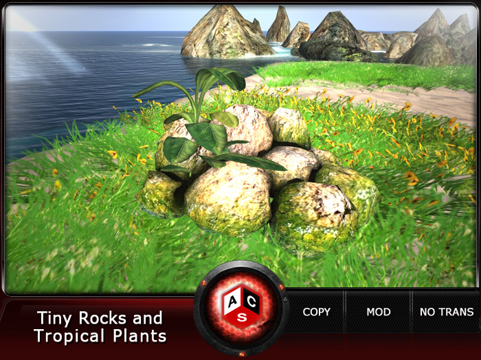 ACS Tiny Rocks and Tropical Plants