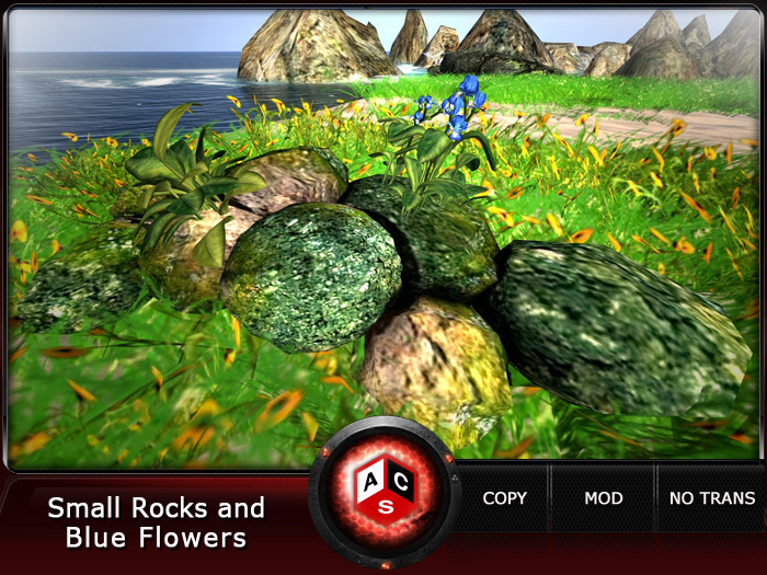 ACS Small Rocks and Blue Flowers