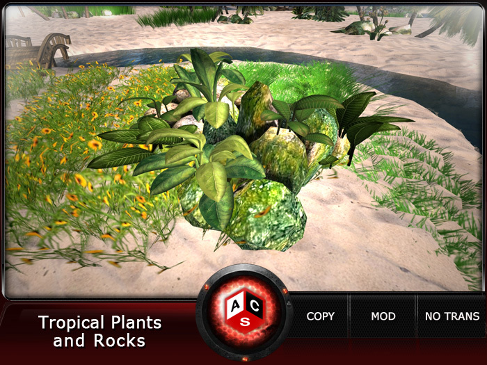 ACS Tropical Plants and Rocks