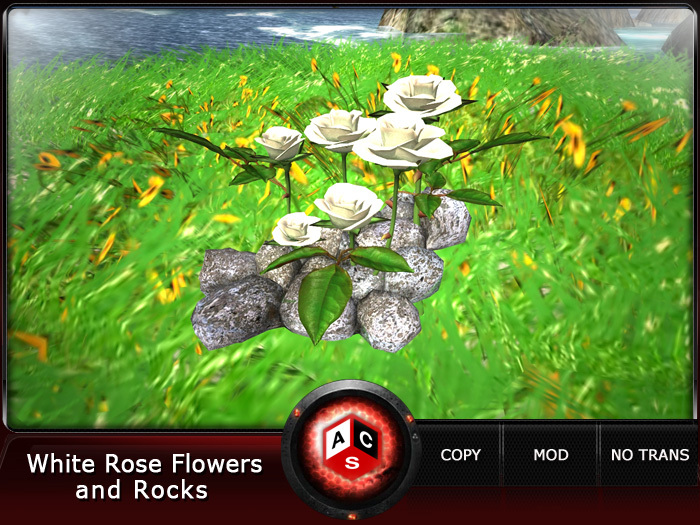 ACS White Rose Flowers and Rocks