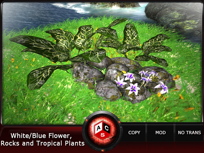 ACS White/Blue Flower, Rocks and Tropical Plants